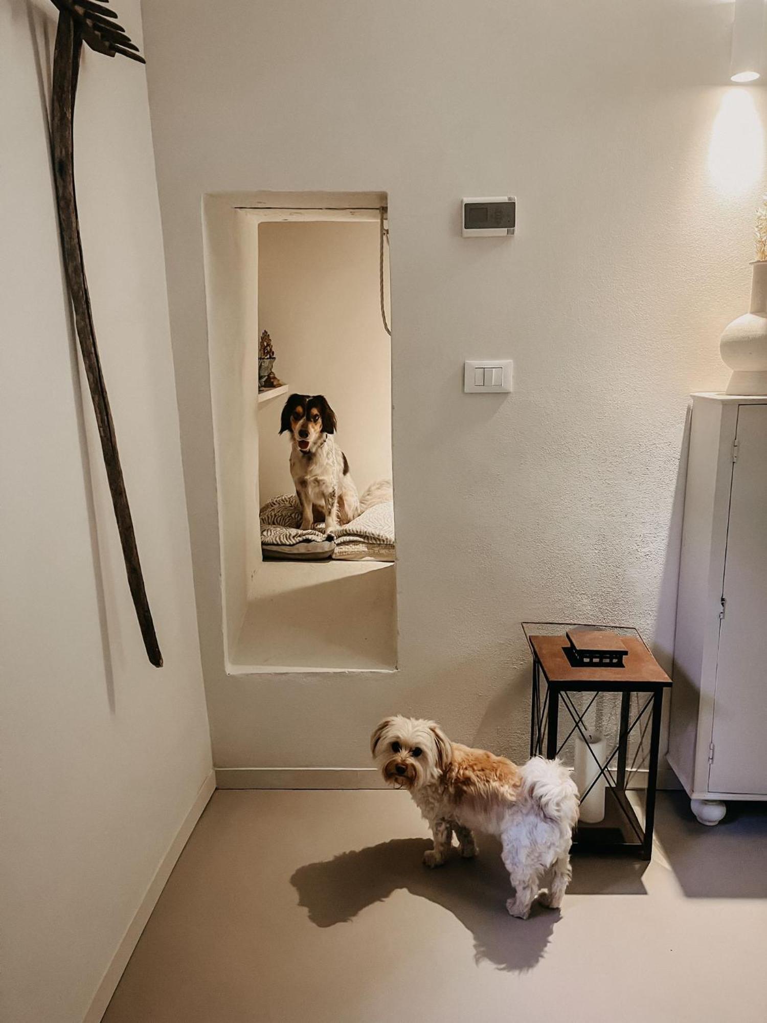 M.Sommer House بستويا المظهر الخارجي الصورة