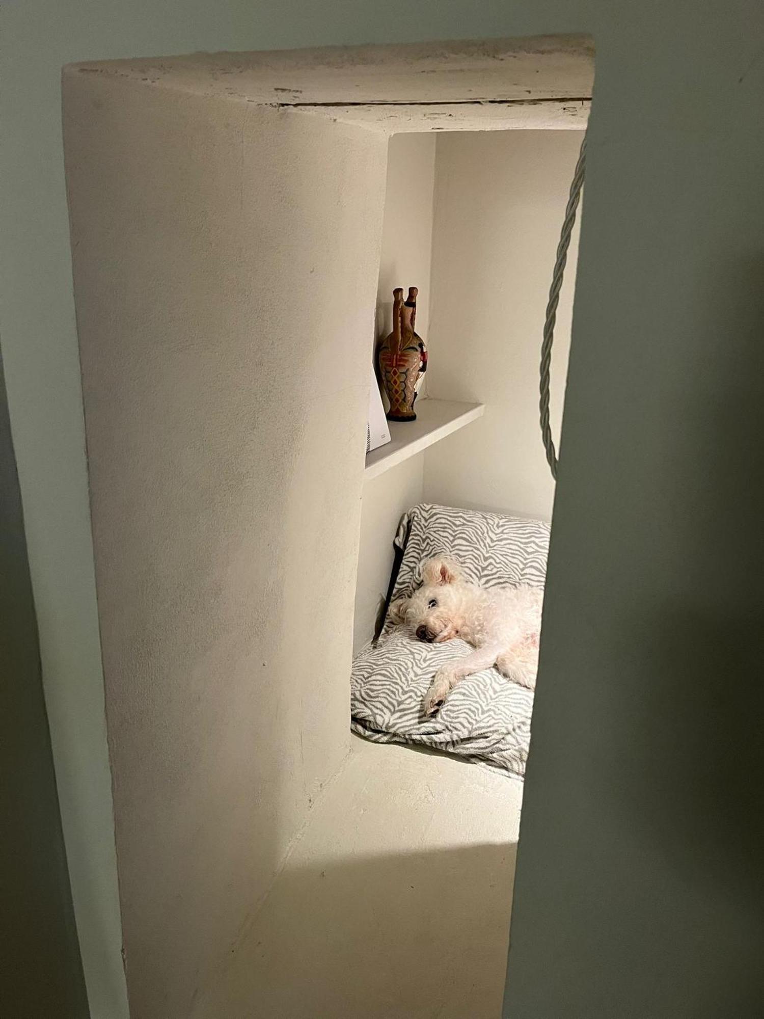 M.Sommer House بستويا المظهر الخارجي الصورة